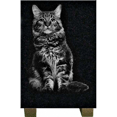 PLAQUE GRANIT CHAT