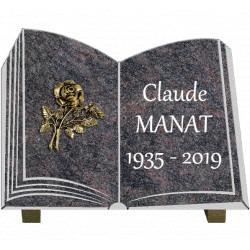 PLAQUE GRANIT LIVRE L082