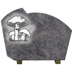 PLAQUE GRANIT CHAMPIGNONS