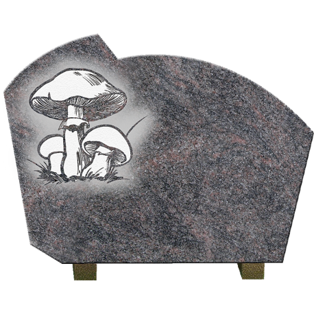 PLAQUE GRANIT CHAMPIGNONS