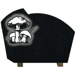 PLAQUE GRANIT CHAMPIGNONS