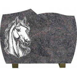 PLAQUE GRANIT CHEVAL